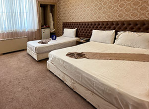 عکس هتل حافظ مشهد