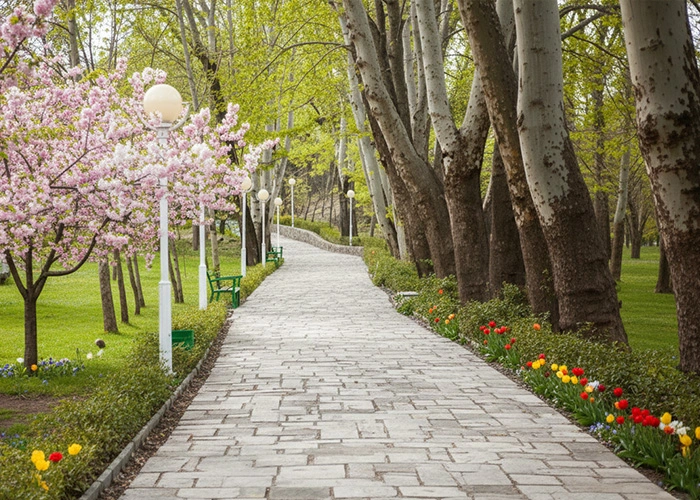 بوستان حجاب مشهد