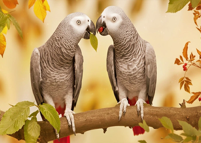 باغ پرندگان مشهد کجاست