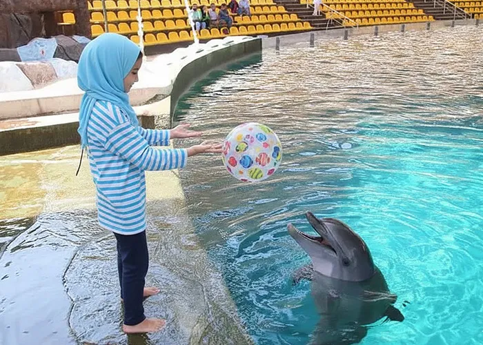 تفریحات کیش