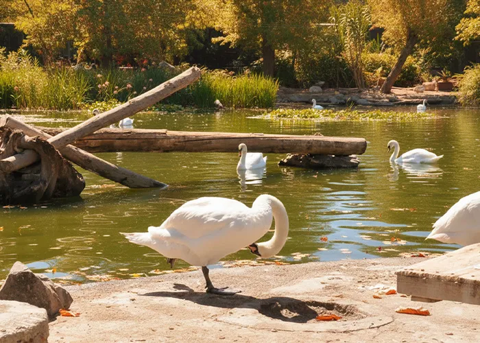 شماره تلفن باغ پرندگان مشهد