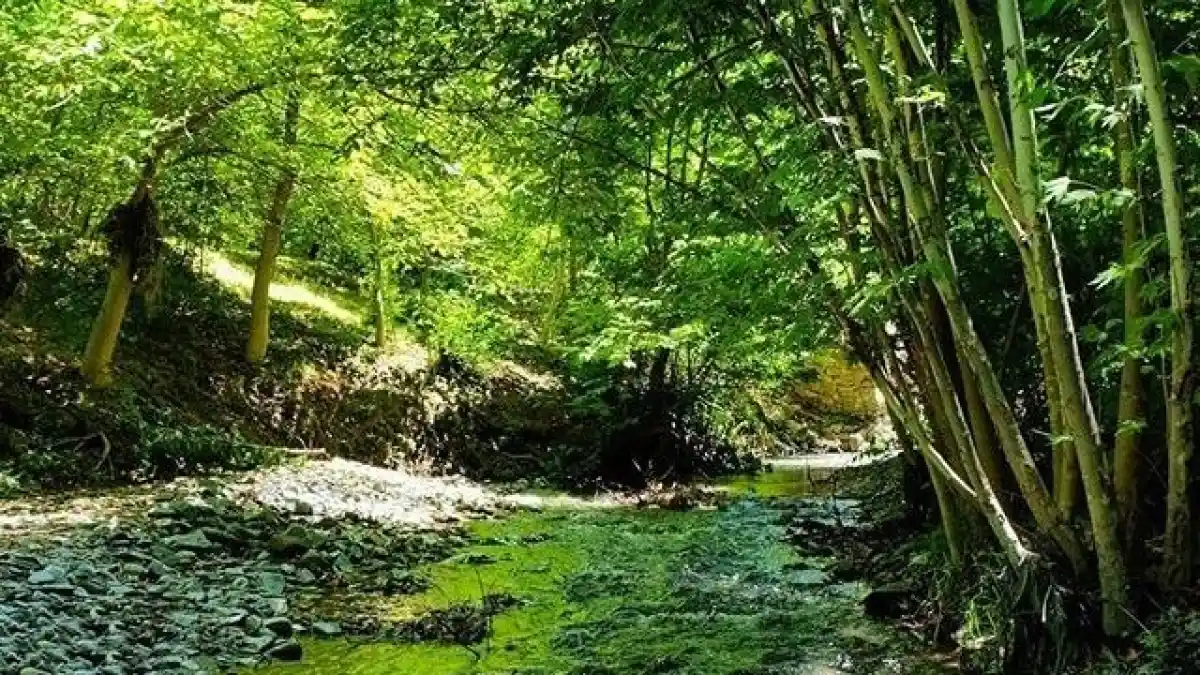 مکان های دیدنی مشهد؛ روستای ابرده