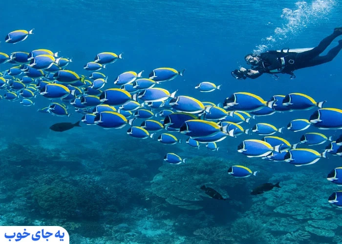 جاهای دیدنی کیش در تابستان