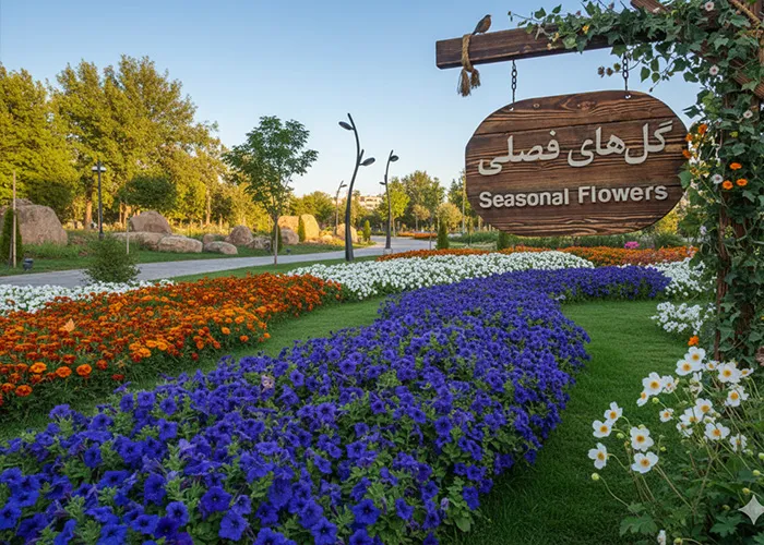 برکه و نیلوفرهای آبی در باغ گلهای مشهد