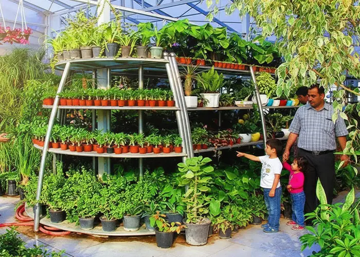 بازار گل طرقبه مشهد