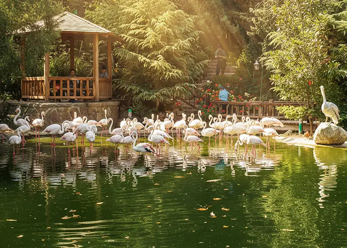 باغ پرندگان تهران 