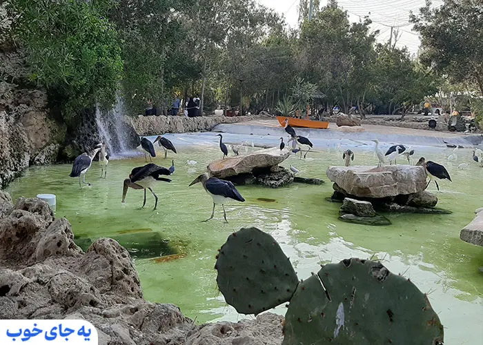 بازدید از باغ پرندگان کیش