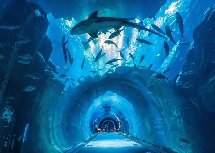 آکواریوم کیش