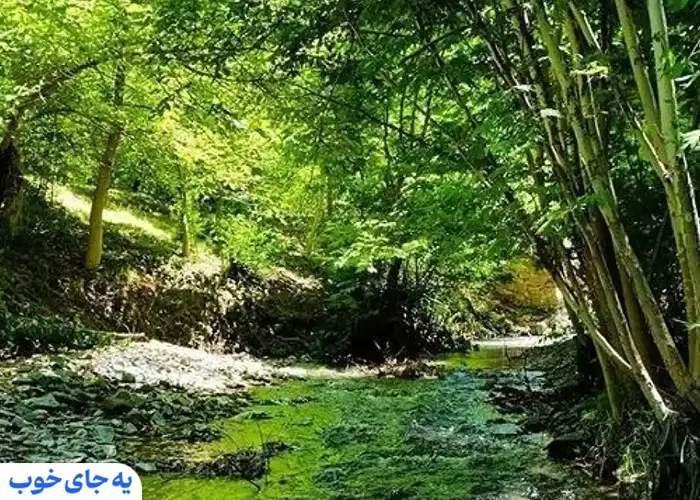 مکان های دیدنی مشهد؛ روستای ابرده