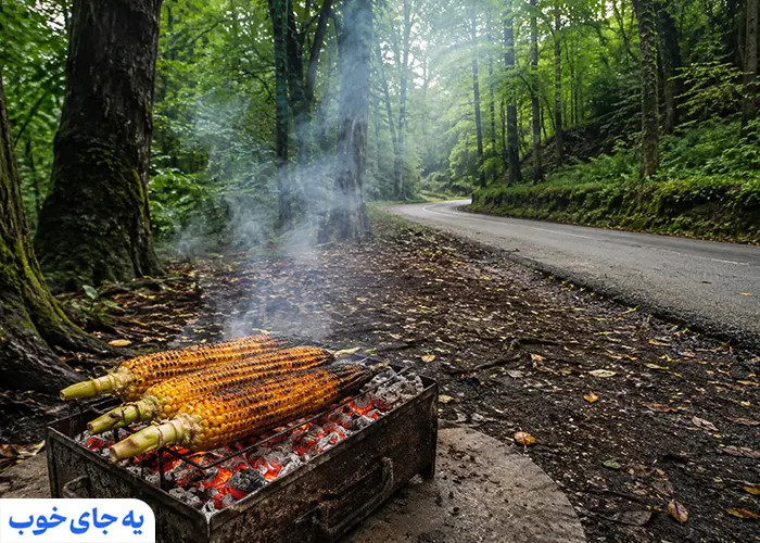 ۱. امکانات رفاهی و خدمات جاده‌ای