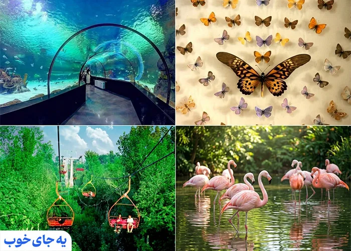 جاذبه‌های نزدیک به باغ خزندگان اصفهان