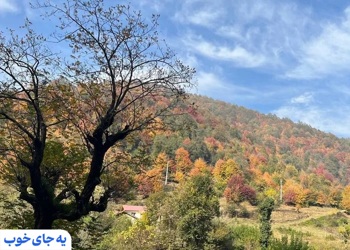 بلوردکان بلوردکان