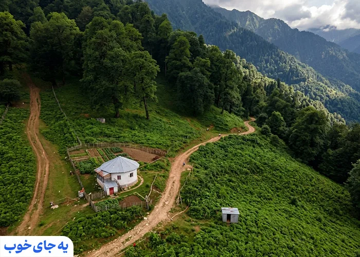 جنگل دالخانی رامسر در دل طبیعت جنگل دالخانی رامسر در دل طبیعت