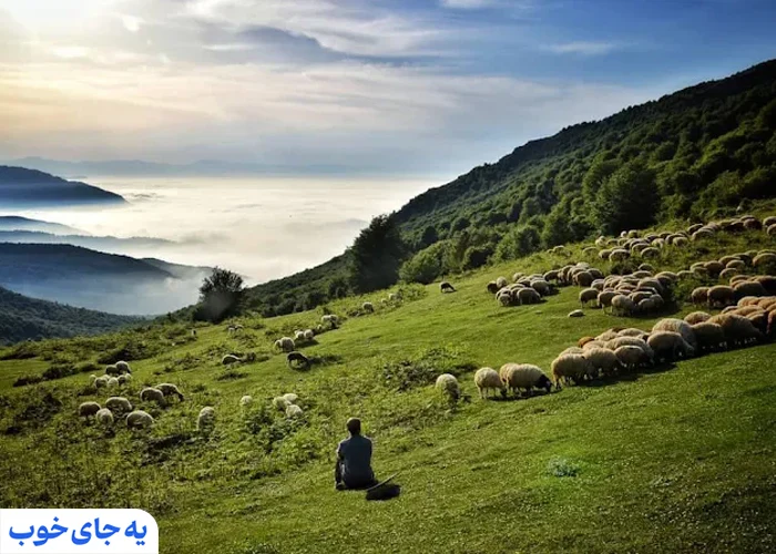 دیلمان دیلمان