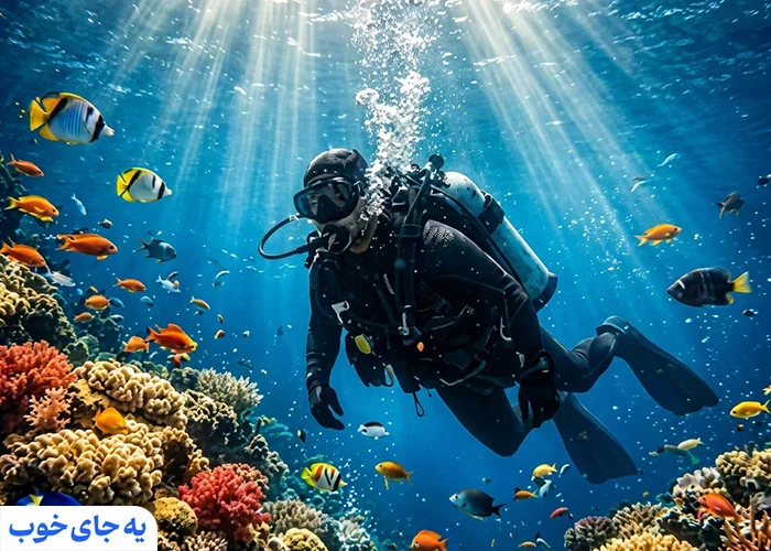 هزینه غواصی در کیش