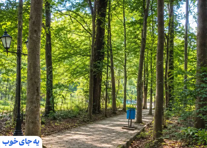 آیا پارک مفاخر رشت پارکینگ دارد؟ آیا پارک مفاخر رشت پارکینگ دارد؟