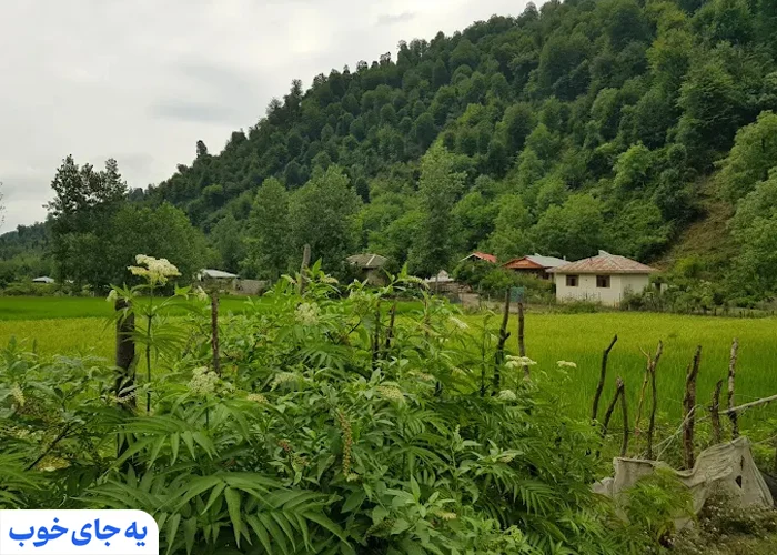 جاهای دیدنی گیلان در بهار