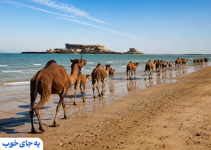 نکات مهم پیش از سفر به جزیره ناز 