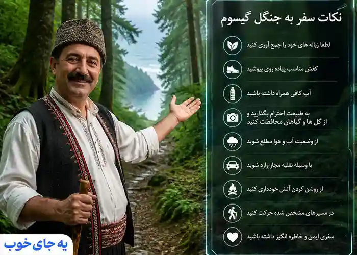 نکات مهم برای بازدید از جنگل گیسوم