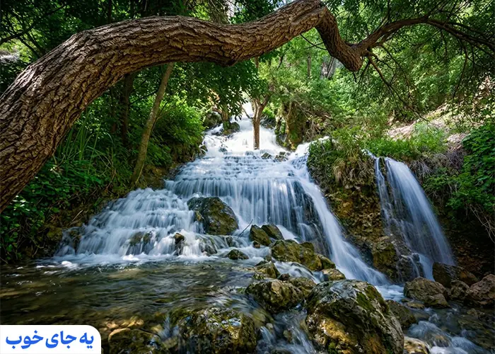 گمشده بهشت شیراز