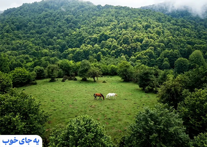 منطقه توریستی کرفون در دل طبیعت منطقه توریستی کرفون در دل طبیعت