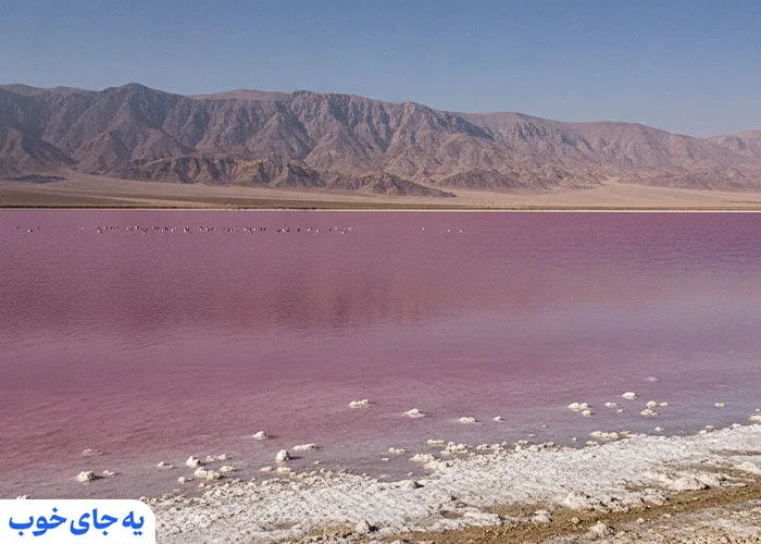 درایچه مهارلو شیراز 