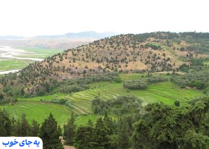 تپه مارلیک