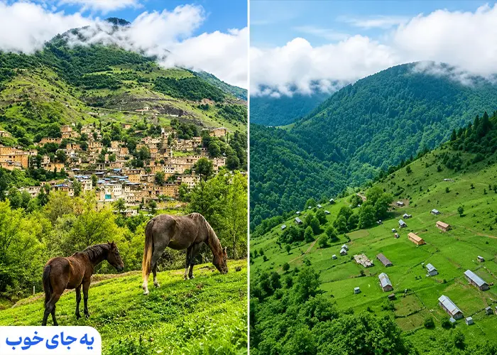جنگل های ماسوله جنگل های ماسوله