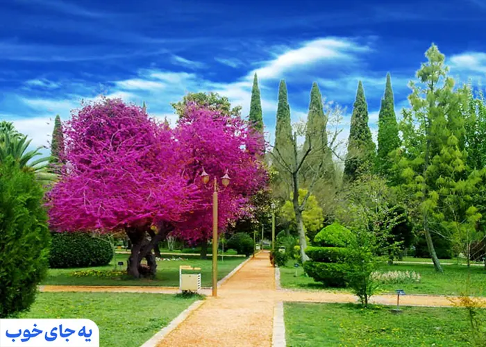 گیاهان باغ ارم