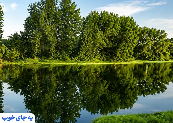 انعکاس آسمان و پوشش گیاهی روی پهنه آب در تالاب عینک رشت