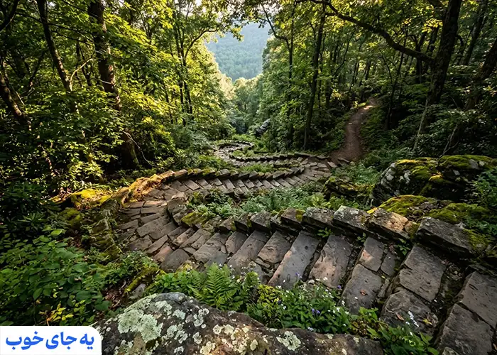 بوستان جنگلی صفارود