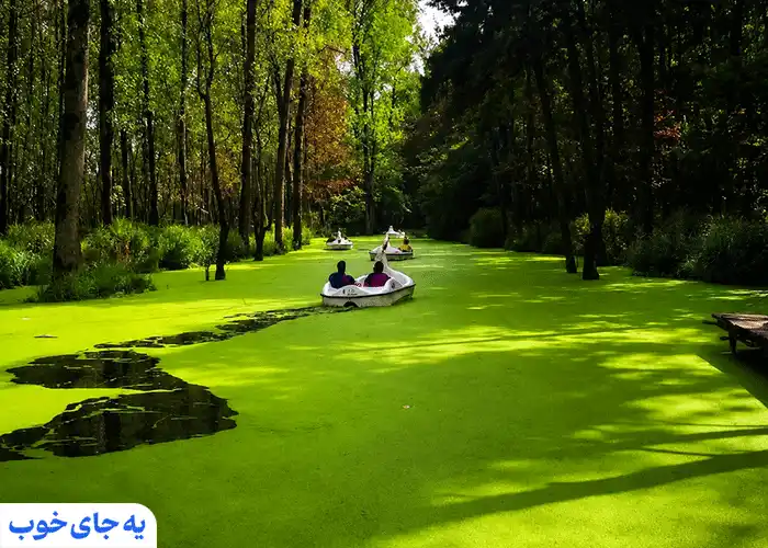 مرداب سبز سراوان رشت مرداب سبز سراوان رشت