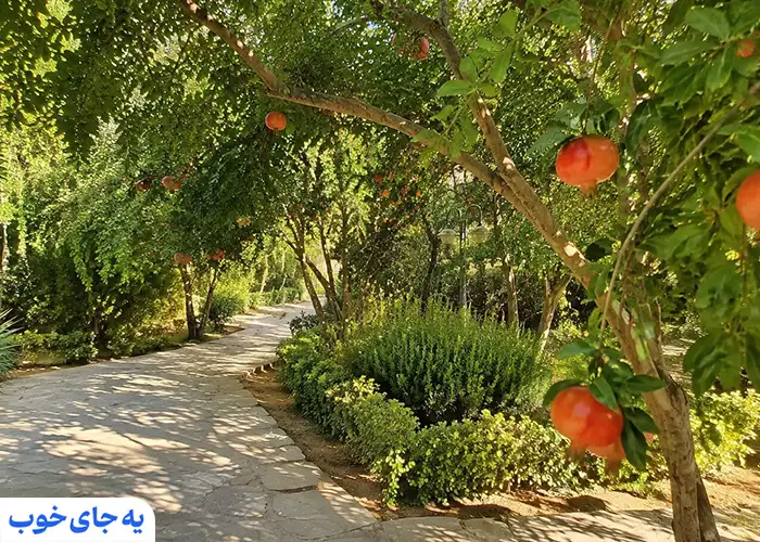 باغ شمس | مقصدی محبوب برای خانواده‌ها 
