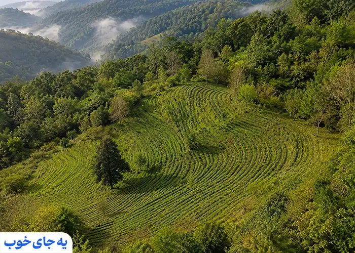 منطقه کوهستانی شیخانبر