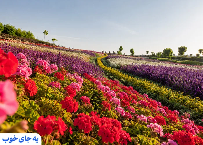 باغ گل های شیراز | از باصفا‌ترین باغ های شیراز 