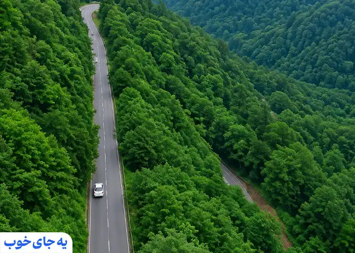 سیاهکلرود و جنگل های لاهیجان سیاهکلرود و جنگل های لاهیجان