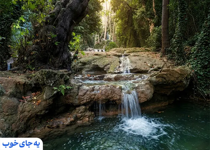 بهشت گمشده