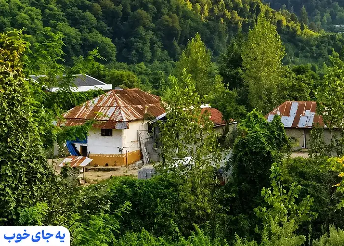 بهترین زمان سفر به گیلان؟ بهترین زمان سفر به گیلان؟