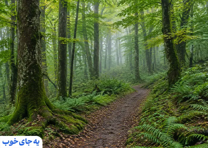 جاذبه های طبیعی ساری