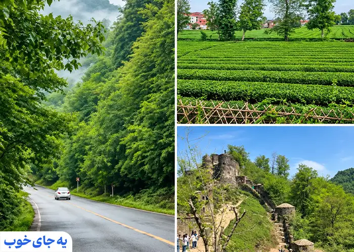 جاده فومن به ماسوله و باغات چای و قلعه رودخان جاده فومن به ماسوله و باغات چای و قلعه رودخان