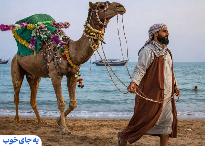 راهنمای سفر به قشم