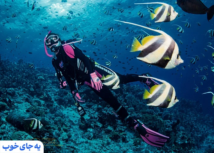 انواع غواصی در کیش