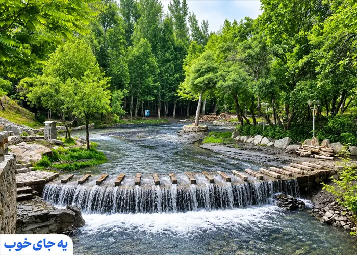 بوستان جنگلی وکیل آباد