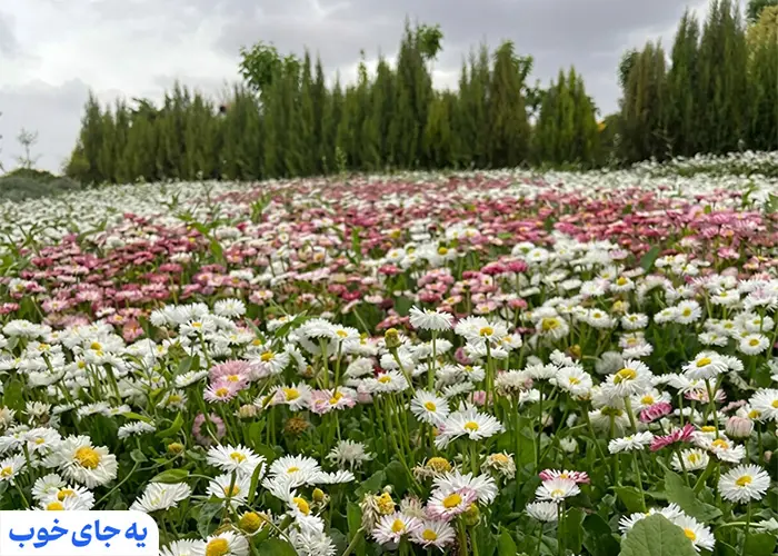 باغ گلها کجاست