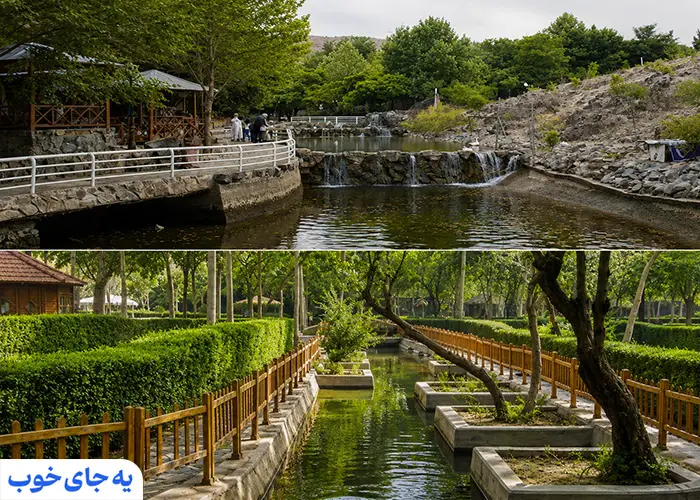 طرقبه کجاست و شاندیز کجاست؟