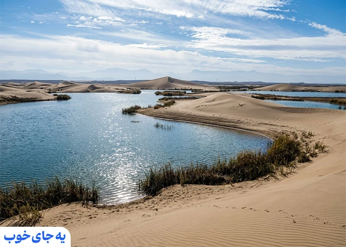 تالاب پساب یزد | از زیبا‌ترین جاهای دیدنی یزد در زمستان