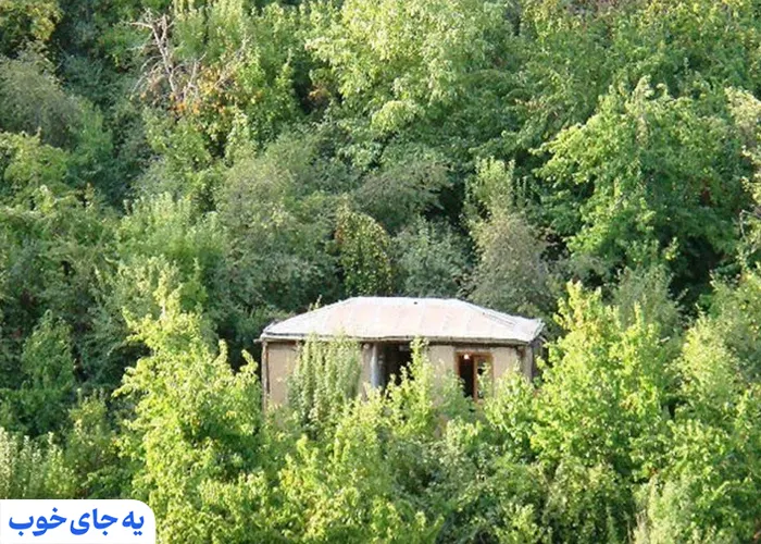 زشک