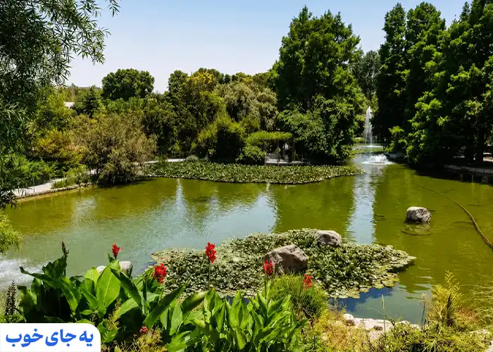 برکه آبزیان و حیات وحش باغ گلها برکه آبزیان و حیات وحش باغ گلها