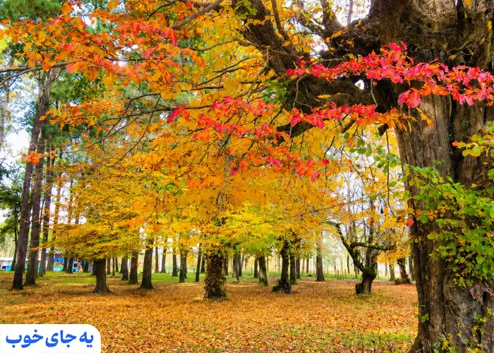 گیلان در آبان ماه گیلان در آبان ماه