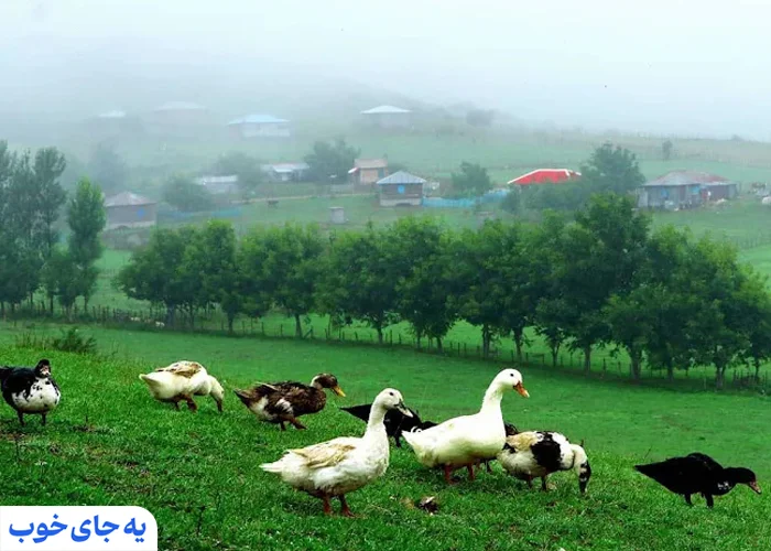 طبیعت ماسال